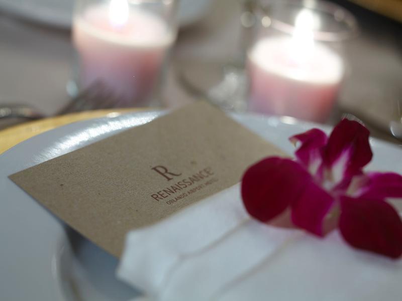 Renaissance Airport 4*